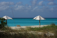 Bahamas 2008