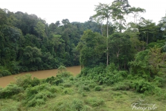 Malaysien 2011