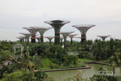 Singapur 2014